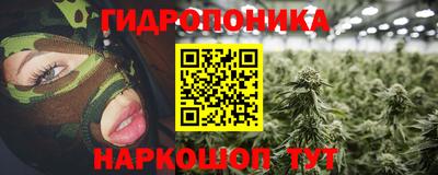 спайс Гусев