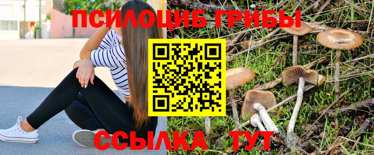Коряжма  Галлюциногенные грибы мицелий  Вход с VPN 