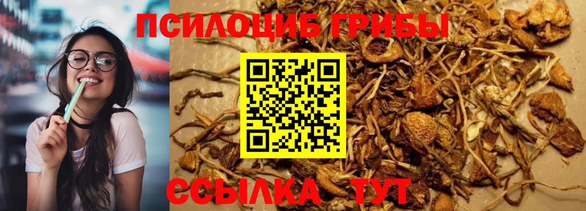 Псилоцибиновые грибы GOLDEN TEACHER  Коряжма 